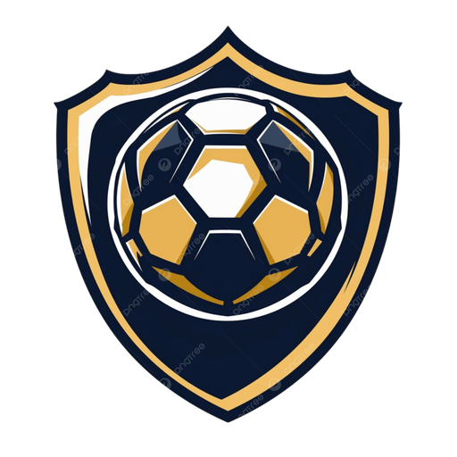 DS足球 Logo